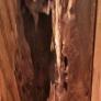foto danni infisso termiti sotterranee