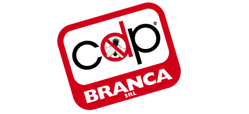 Logo CDP Branca